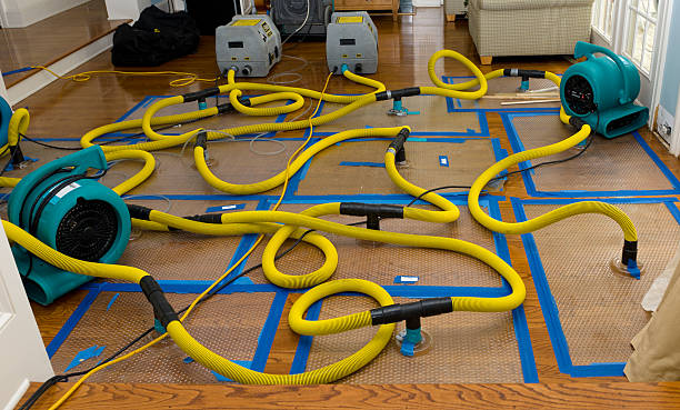 Professional Water Damage Restoration technician working in Bruin, PA